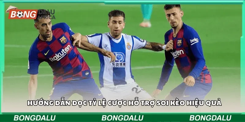 Hướng dẫn đọc tỷ lệ cược hỗ trợ soi kèo hiệu quả