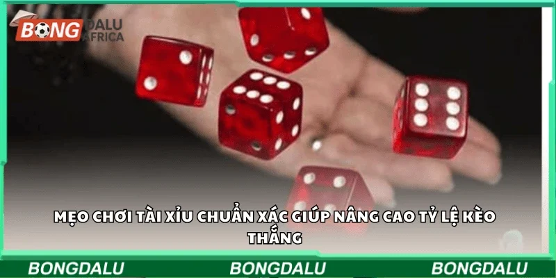 Mẹo chơi Tài Xỉu chuẩn xác giúp nâng cao tỷ lệ kèo thắng