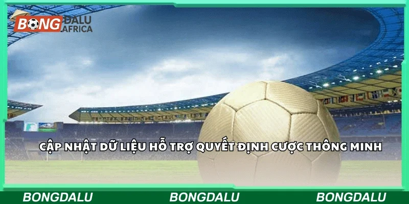 Cập nhật dữ liệu hỗ trợ quyết định cược thông minh