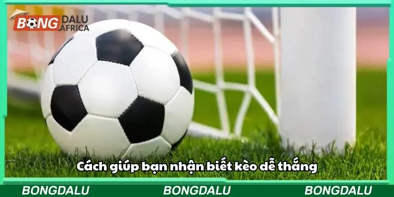 Cách giúp bạn nhận biết kèo dễ thắng