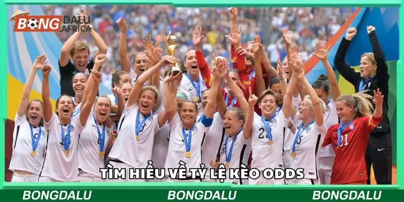 Tìm hiểu về tỷ lệ kèo odds
