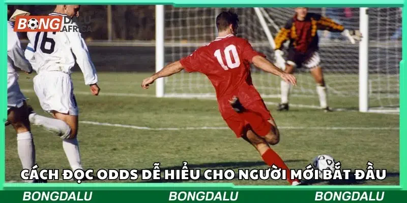 Tổng hợp các cách đọc kèo odds dễ hiểu