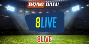 8Live – Nhà Cái Bóng Đá, Cá Cược Thể Thao Chuyên Nghiệp