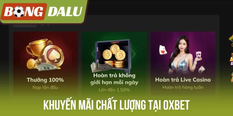 Khuyến mãi chất lượng tại Oxbet