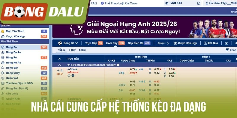 Nhà cái cung cấp hệ thống kèo đa dạng