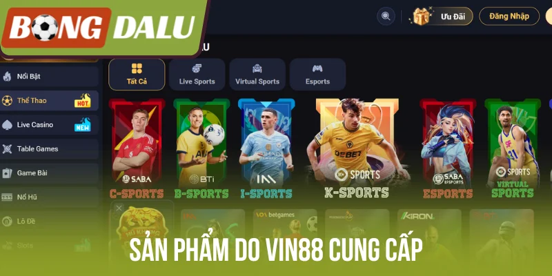 Sản phẩm do Vin88 cung cấp
