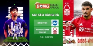 Soi kèo bóng đá Brighton vs Nottingham Forest - NHA, 01/03/2026