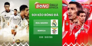 Soi Kèo Nhà Cái Real Madrid Vs Benfica – Cup C1, 26/02/2026