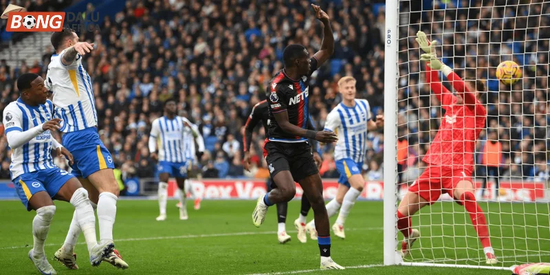 Thông tin, phong độ Brighton vs Crystal Palace mới nhất